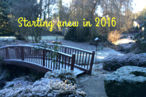 Starting Anew in 2016